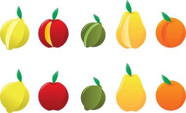 renkli meyve kümesi. vektör çizim