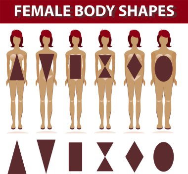 Kadın vücut tiplerinin vektör kümesi. farklı vücut şekilleri. farklı şekiller.