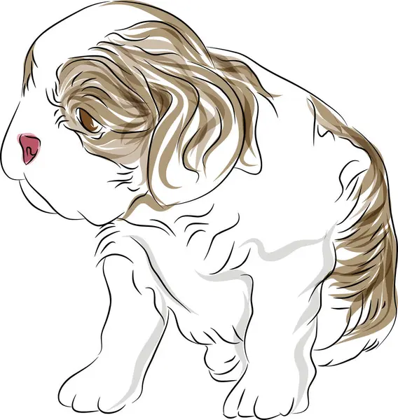 一个骑士国王查尔斯画小狗的画像 — 图库矢量图片