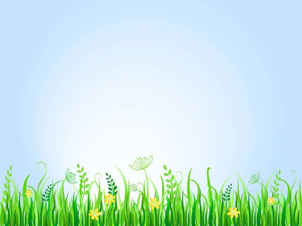 Herbe Verte Avec Ciel Bleu Fleurs — Image vectorielle