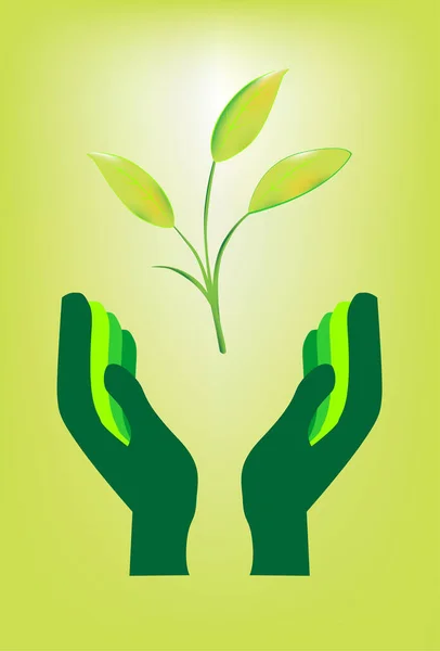 Illustration Vectorielle Plante Verte — Image vectorielle