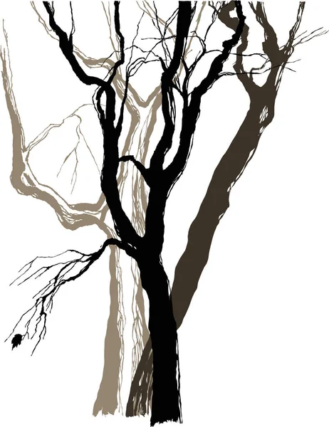 Ağaç Dalı Siluet Vektör Arkaplanı — Stok Vektör