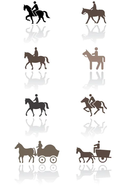 Horse Pony Symbol Vector Illustration Set All Vector Objects Isolated — Stock Vector