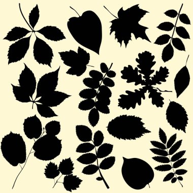 vektör siluetleri ayarlandı