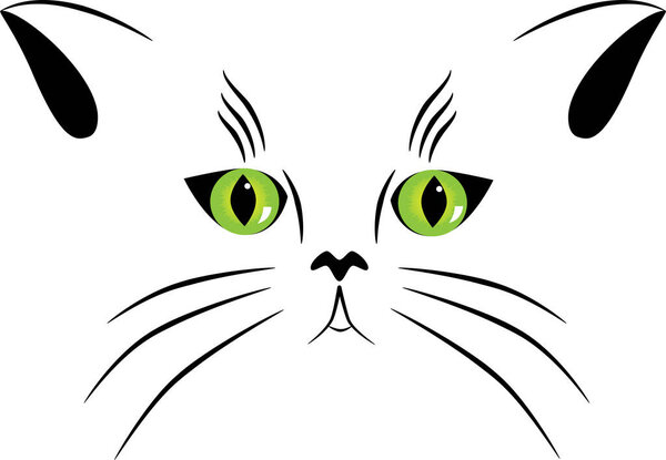 vector illustration of cat with green eyes