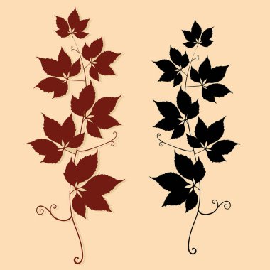 çiçek tasarım öğeleri kümesi