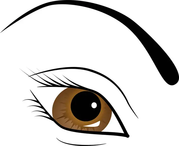 美丽的女性眼睛的矢量图解 — 图库矢量图片