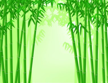 yeşil bambu ağacı arkaplan vektör çizimi