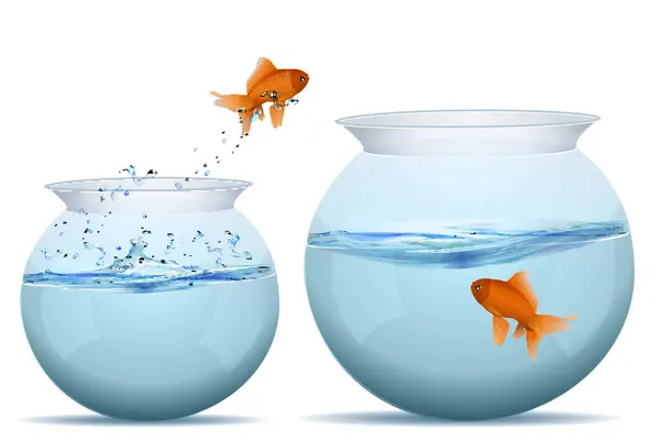 Goldfish Aquarium — Stock Vector