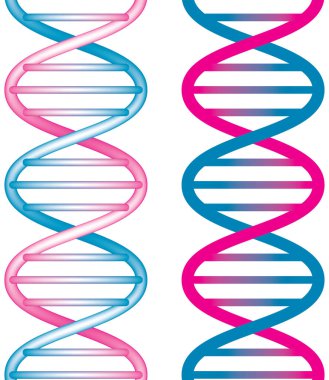 DNA molekül yapısı. vektör illüstrasyonu