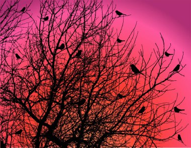 Şafak vakti ağaç dallarındaki kuşlar, vektör illüstrasyonu basit tasarım