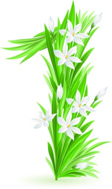 zambak çiçeğini beyaz arkaplanda izole et.