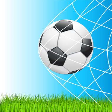 futbol topu ve çimenler