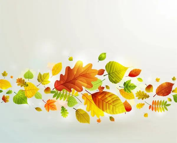 Herfst Achtergrond Van Kleurrijke Bladeren — Stockvector