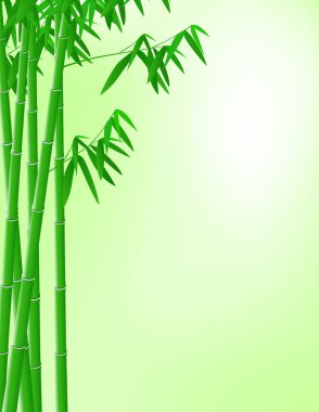 Açık yeşil arka planda bambu