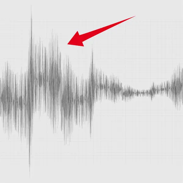 Earthquake Graph Seismic Activity Vector Illustration — Stock Vector