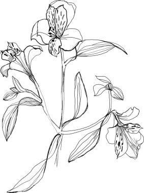 arka plan çiçek. vektör çizim.