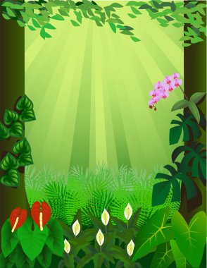 Tropik bitkiler ve çiçekler ile arka plan