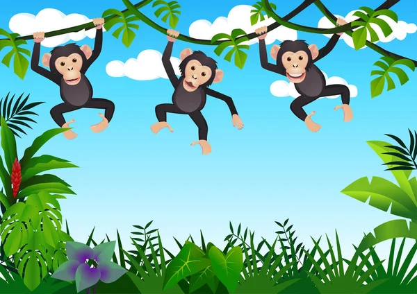 Monkeys Hanging Lianas Vector Illustration — Stock Vector