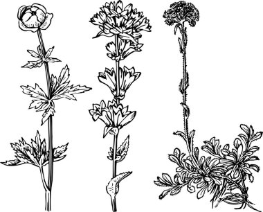 Çiçek elementleriyle festival arka planının vektör illüstrasyonu