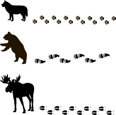 Beyaz üzerinde hayvan ayak izleri var. 