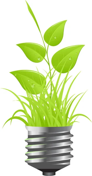 Zelená Rostlina Listy — Stockový vektor