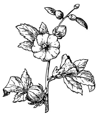 Çiçek elementleriyle arka planın vektör illüstrasyonu