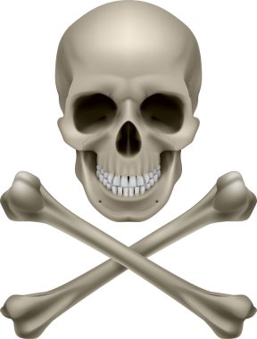 skull with bones, vector illustration