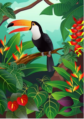 Çiçekli tukanların vektör illüstrasyonu