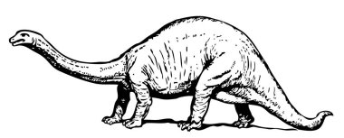 Vektör çizimi. Dinozorun çizimi