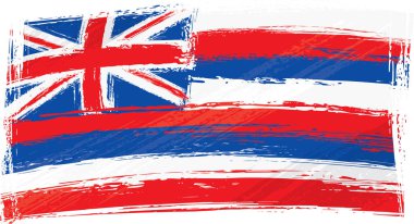 Hawaii bayrağı, vektör illüstrasyonu