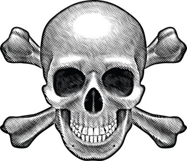 kafatası kemikli, klasik çizim ya da gravür çizimi.