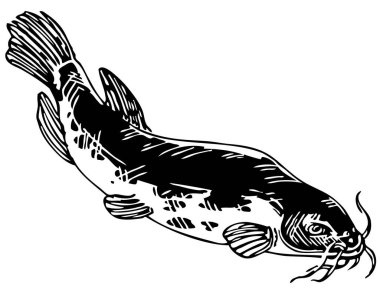 Siyah beyaz çizgi film balıklarının vektör çizimi