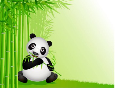 Bambu ormanındaki panda