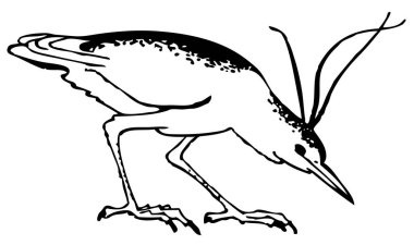 Siyah beyaz çizgi film kuşunun çizimi