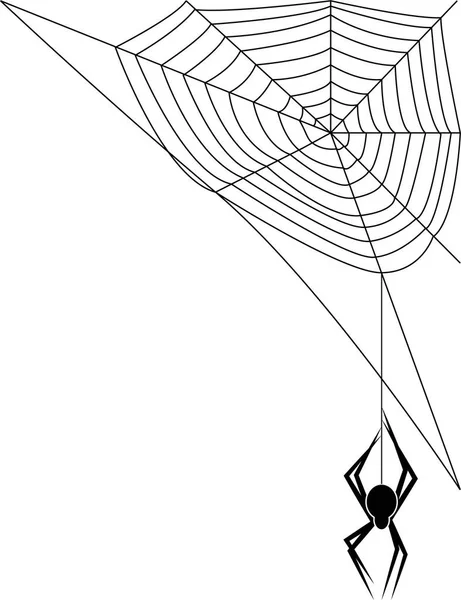 Spider Web Spider White Background — Stock Vector