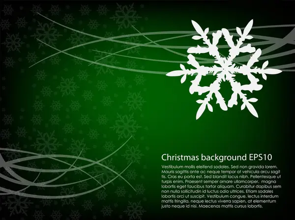 美しいお祝いのクリスマスの背景 休日のカード — ストックベクタ
