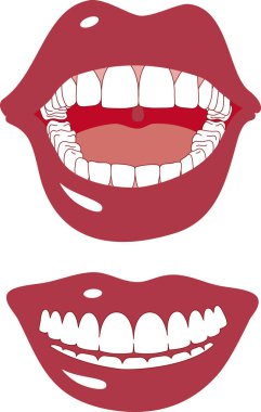 Dudaklar ve dişler.