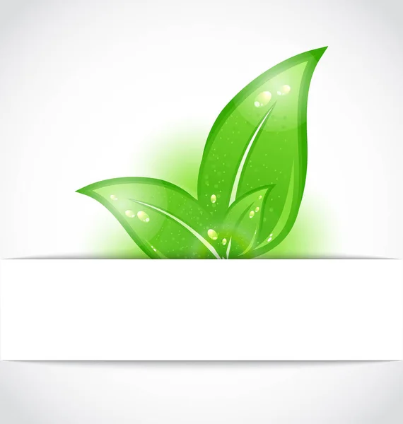Metniniz Için Beyaz Arkaplanda Yeşil Vektör Yaprakları — Stok Vektör
