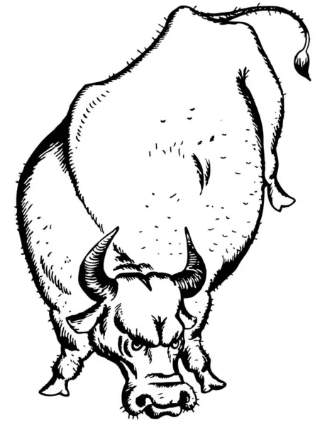 Ilustrace Býka Připraveného Boji Bílém Pozadí Vektorová Grafika