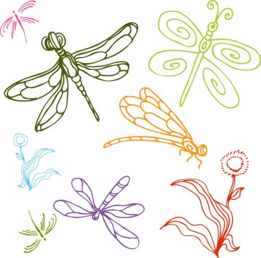 set of decorative elements dragonflies