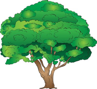 Yaşlı bir ağaç. Vektör illüstrasyonu.
