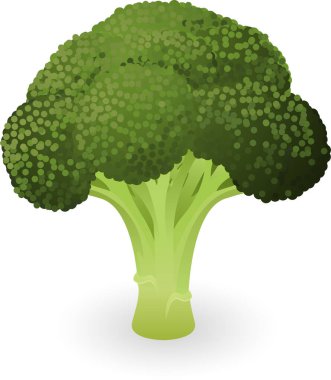 beyaz arkaplanda izole edilmiş çizgi film tarzında brokoli simgesi