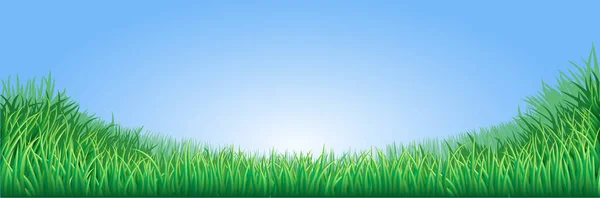Gras Hintergrund Mit Blauem Himmel — Stockvektor