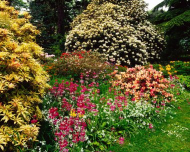 Fernhill Bahçeleri, Dublin Bölgesi, İrlanda