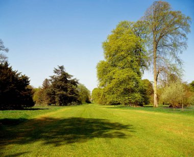 Arka planda mavi gökyüzü olan güzel bir alan