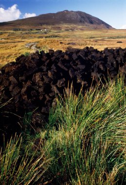 Geleneksel Çim Stoku; Tully Mountain County Galway İrlanda