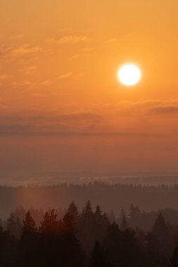 Sıcak hava dalgası sırasında siluetli ağaçların üzerinde turuncu ve altın sarısı, sisli bir gökyüzünde parlak, sıcak güneş Britanya Kolumbiyası 'nın Home Skies' i Britanya Kolumbiyası, Kanada