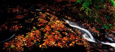 Waterfalls In Glenoe, Co Antrim, Ireland clipart