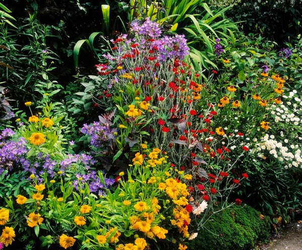 Английский сад в Ирландии